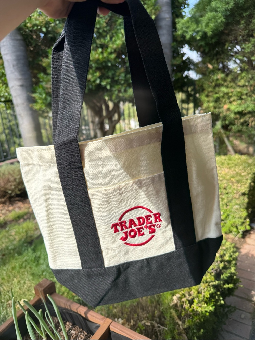 Trader Joe's Canvas Tote Bag in Cream and Black